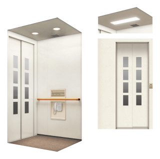 HOME ELEVATORS